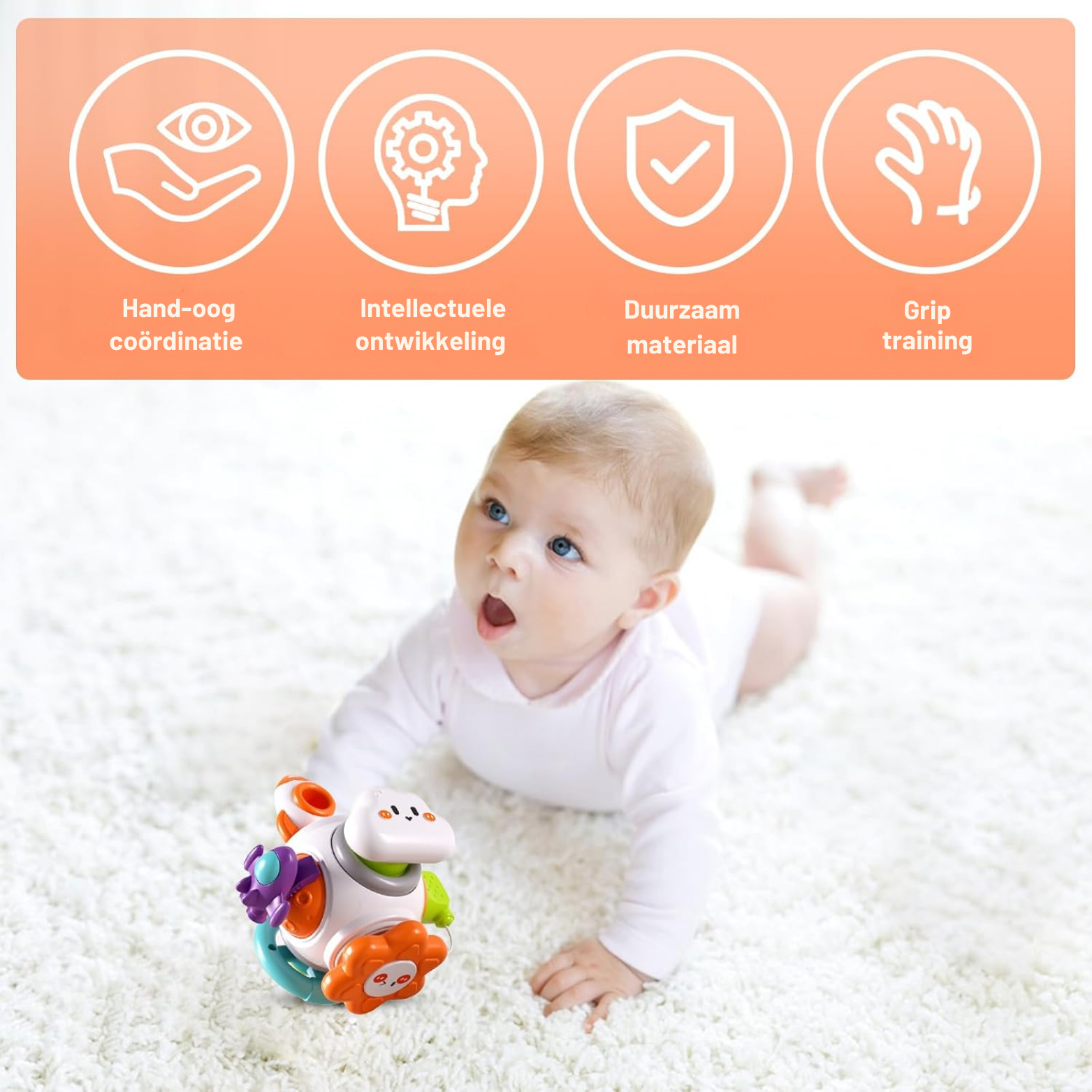 Vigna 6 in 1 Sensory Activiteit