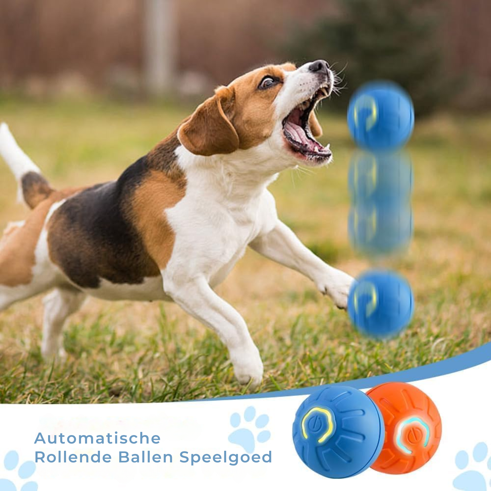 Vigna Automatische Stuiterbal voor Honden & Katten